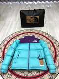 The North Face Turquoise Purple 1996 Retro Nuptse Down Jacket 700 Fill